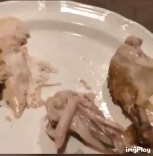 게이머들을 위한 짤